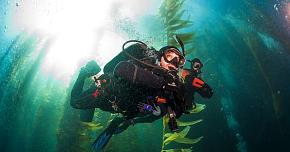 Выбор компенсатора